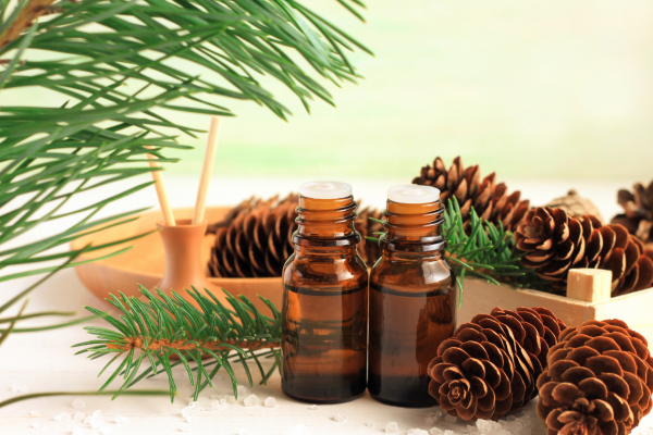 Hogyan védd meg családodat?